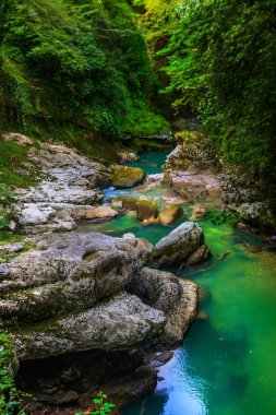 Martvili Kanyonu 'nda bir yaz günü Abasha Nehri' nde masmavi bir su vardı..