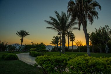 Antalya 'da bir yaz akşamı Şelale Duden yakınlarında güzel bir park..