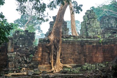 Angkor tapınak kompleksi.