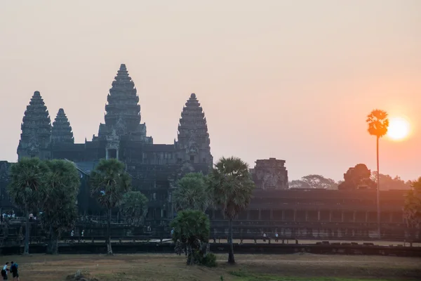 El complejo del templo de Angkor . — Foto de Stock