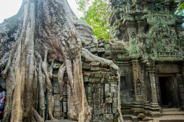 Angkor tapınak kompleksi.