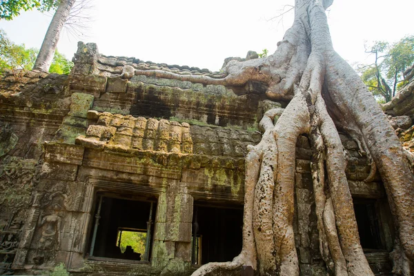 The temple complex of Angkor. — Stock Photo, Image