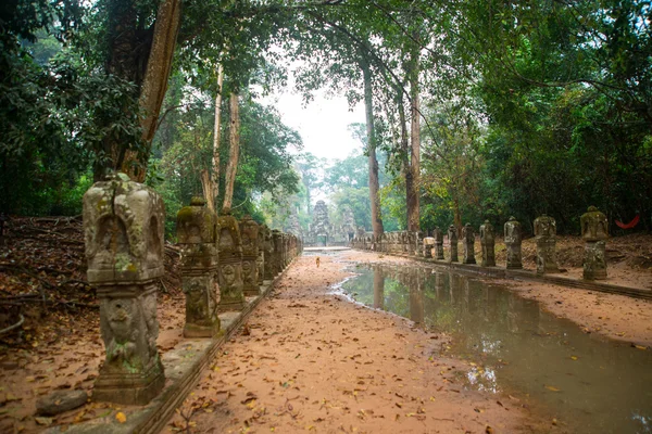 Le complexe du temple d'Angkor . — Photo