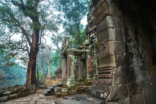 Le complexe du temple d'Angkor . — Photo