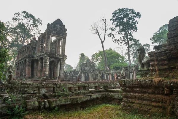 Het tempelcomplex van Angkor. — Stockfoto
