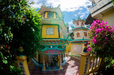 Budist tapınağı Vietnam