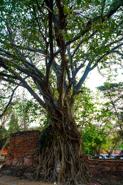 Muinaiset rakennukset kaupungin Ayutthaya. Aasiathailand . — kuvapankkivalokuva