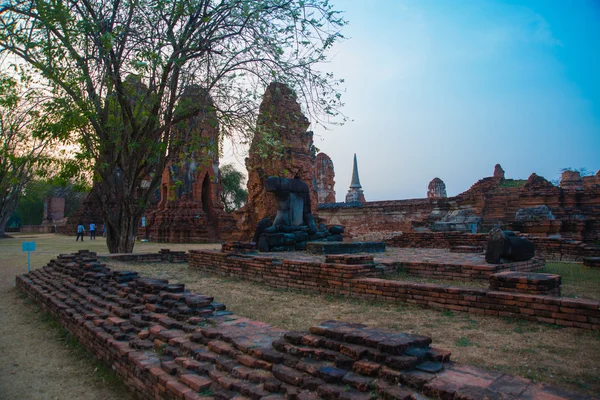 Staré budovy v městě město Ayutthaya. Asia.Thailand. — Stock fotografie