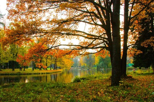 Autumn landscape — Stock Photo, Image