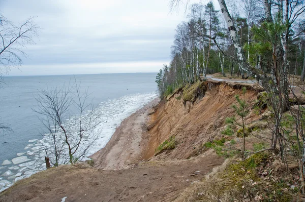 Isflak på vattnet. Skogen. — Stockfoto