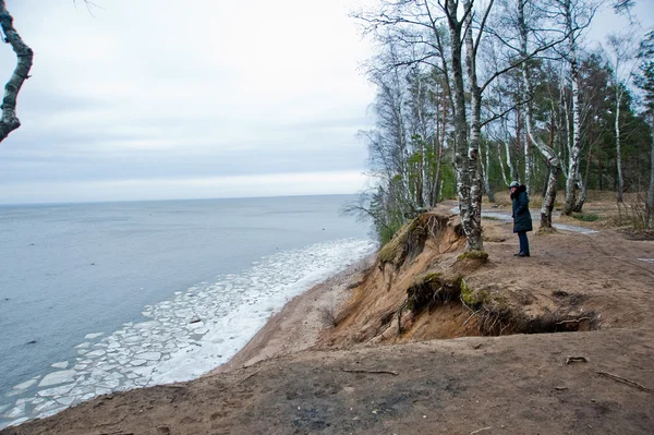 Isflak på vattnet. Skogen. — Stockfoto