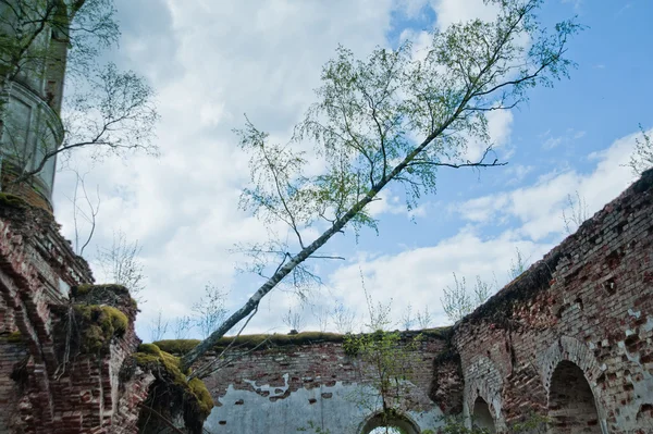 Antigua iglesia en ruinas en Rusia —  Fotos de Stock