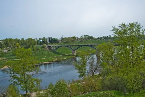 Summer, view bird 's eye view of the river and the bridge — стоковое фото