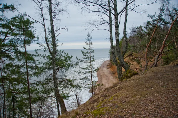 Molnigt, mörka silhuetter av träd med gröna blad på hill, blå havet med vita små isbitar — Stockfoto