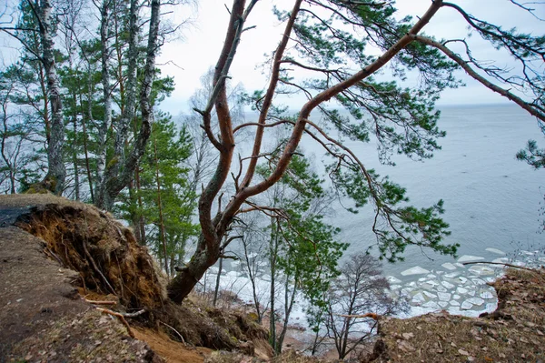 Molnigt, mörka silhuetter av träd med gröna blad på hill, blå havet med vita små isbitar — Stockfoto