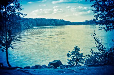 Yaz. Nehir ağaçları ile.