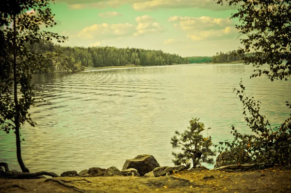 Zomer. Rivier met bomen. — Stockfoto