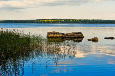 Yaz. Nehir ağaçları ile.