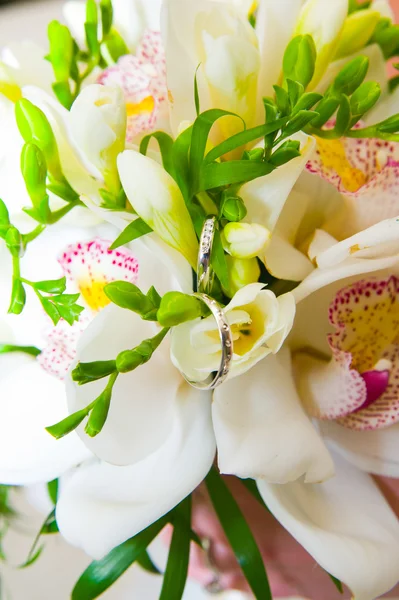 Anillos de boda y flores —  Fotos de Stock