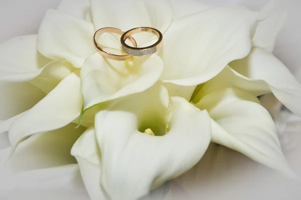 Bardzo piękny pierścionek zaręczynowy i lilie — Zdjęcie stockowe