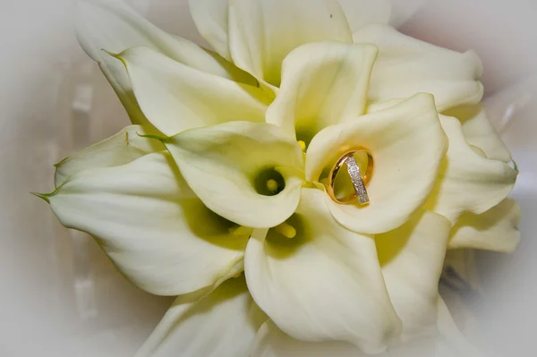 Very beautiful engagement ring and lilies — Stock Photo, Image