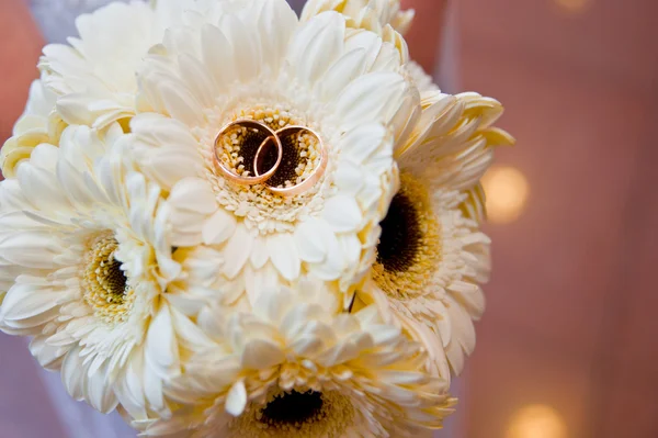 매우 아름 다운 약혼 반지와 카모마일 — 스톡 사진