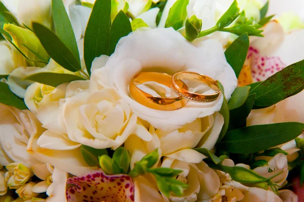 Anillos de boda y flores — Foto de Stock