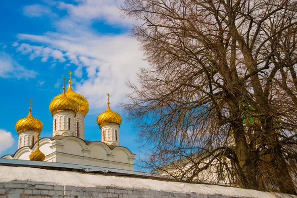 Le complexe du monastère Ipatievski.Russie . — Photo