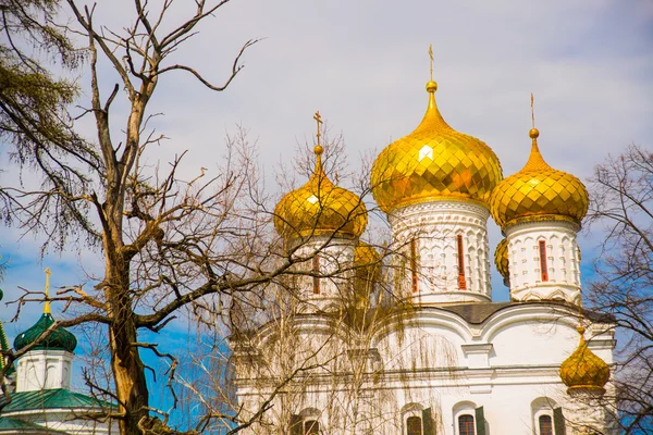 Ipatievsky Manastırı karmaşık. Rusya. — Stok fotoğraf