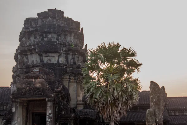 O complexo do templo de Angkor Wat . — Fotografia de Stock