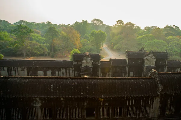 Комплекс храм Ангкор-Ват. — стокове фото
