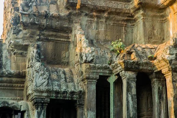 Το συγκρότημα ναών του Angkor Wat. — Φωτογραφία Αρχείου