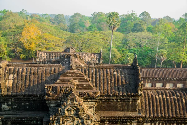 Kompleksu świątyni Angkor Wat. — Zdjęcie stockowe