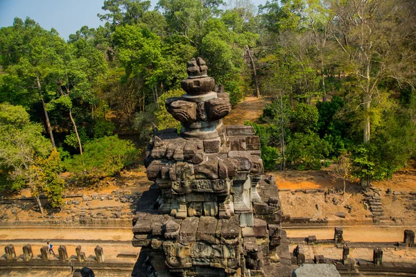 Le complexe du temple d'Angkor . — Photo