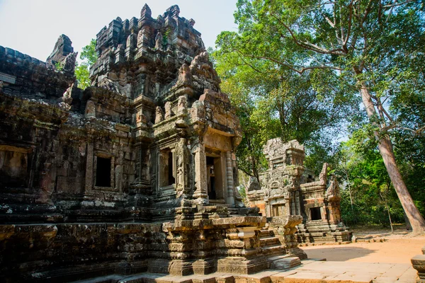 Le complexe du temple d'Angkor.Cambodge . — Photo