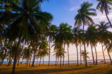 Deniz Vietnam, MUI Ne, Asya yukarıda güzel gün batımı