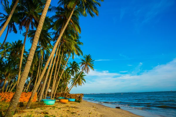 Palmiers contre ciel bleu.Bateaux ronds Vietnam, Mui Ne, Asie — Photo