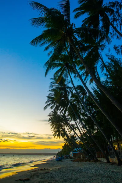 Vietnam, Mui Ne, Asia, palme sullo sfondo di un bellissimo tramonto — Foto Stock