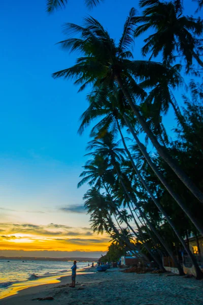 Vietnam, Mui Ne, Asie, palmy na pozadí krásný západ slunce — Stock fotografie