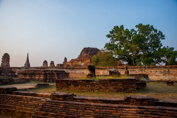 Anciens palais sur le fond au coucher du soleil. Ayutthaya Thaïlande . — Photo