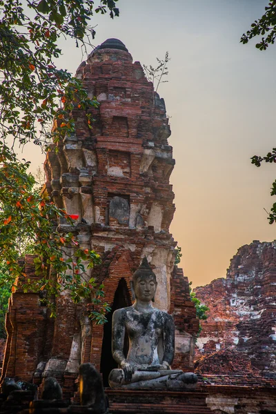 Ancient palaces on the background at sunset. Ayutthaya Thailand. — Stock Photo, Image