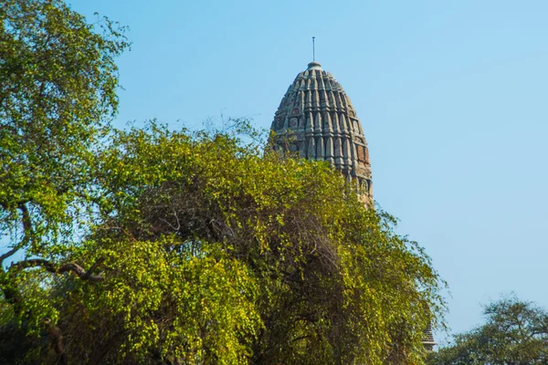 Antichi palazzi. Ayutthaya Thailandia . — Foto Stock