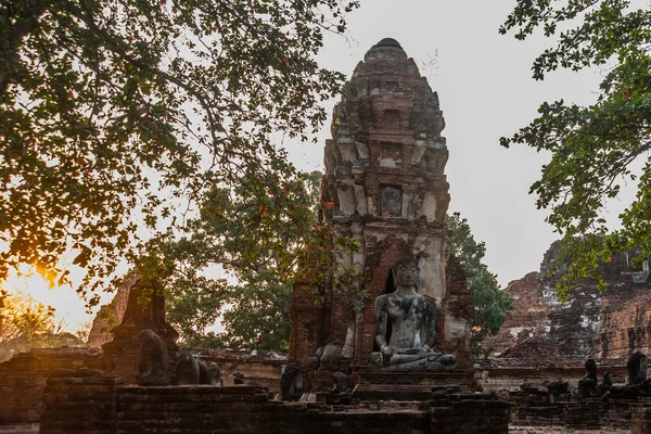Palacios antiguos en el fondo al atardecer. Ayutthaya Tailandia . — Foto de Stock