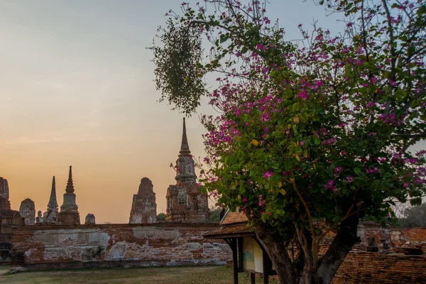 Anciens palais sur le fond au coucher du soleil. Ayutthaya Thaïlande . — Photo
