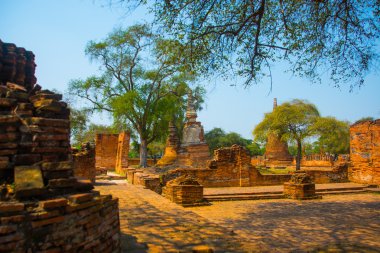 Eski saraylar. Ayutthaya Tayland. 