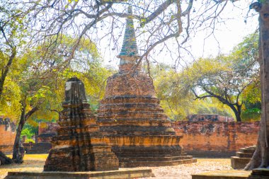 Eski saraylar. Ayutthaya Tayland. 