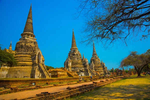 Palacios antiguos en el fondo del cielo azul. Ayutthaya Tailandia . — Foto de Stock