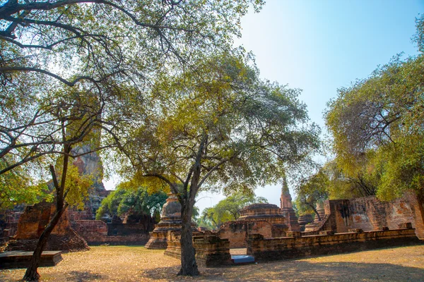 Palácios antigos. Ayutthaya Tailândia . — Fotografia de Stock