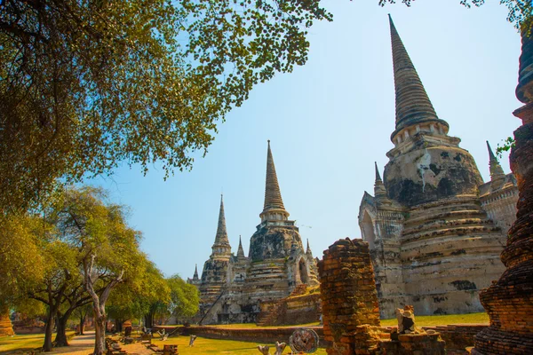 Des palais anciens. Ayutthaya Thaïlande . — Photo
