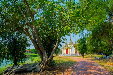 Güzel dini yapı yaldız ile beyazdır. Ayutthaya Tayland. 